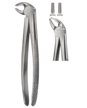 Tooth Extracting Forceps  